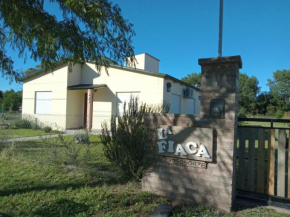 Lafiaca